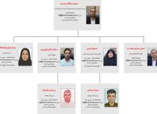 ساختار سازمانی